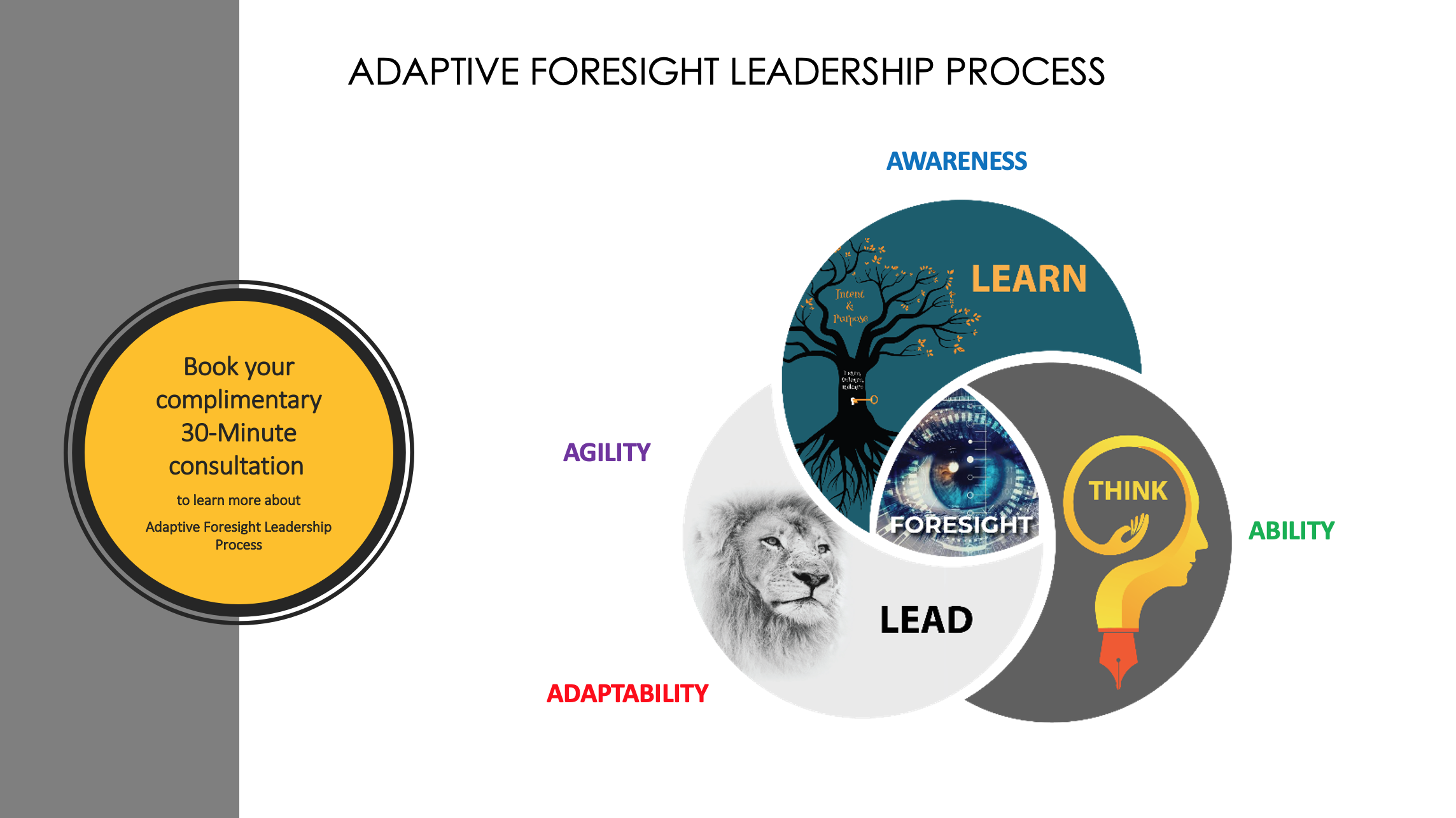 ADAPTIVE FORESIGHT LEADERSHIP PROCESS